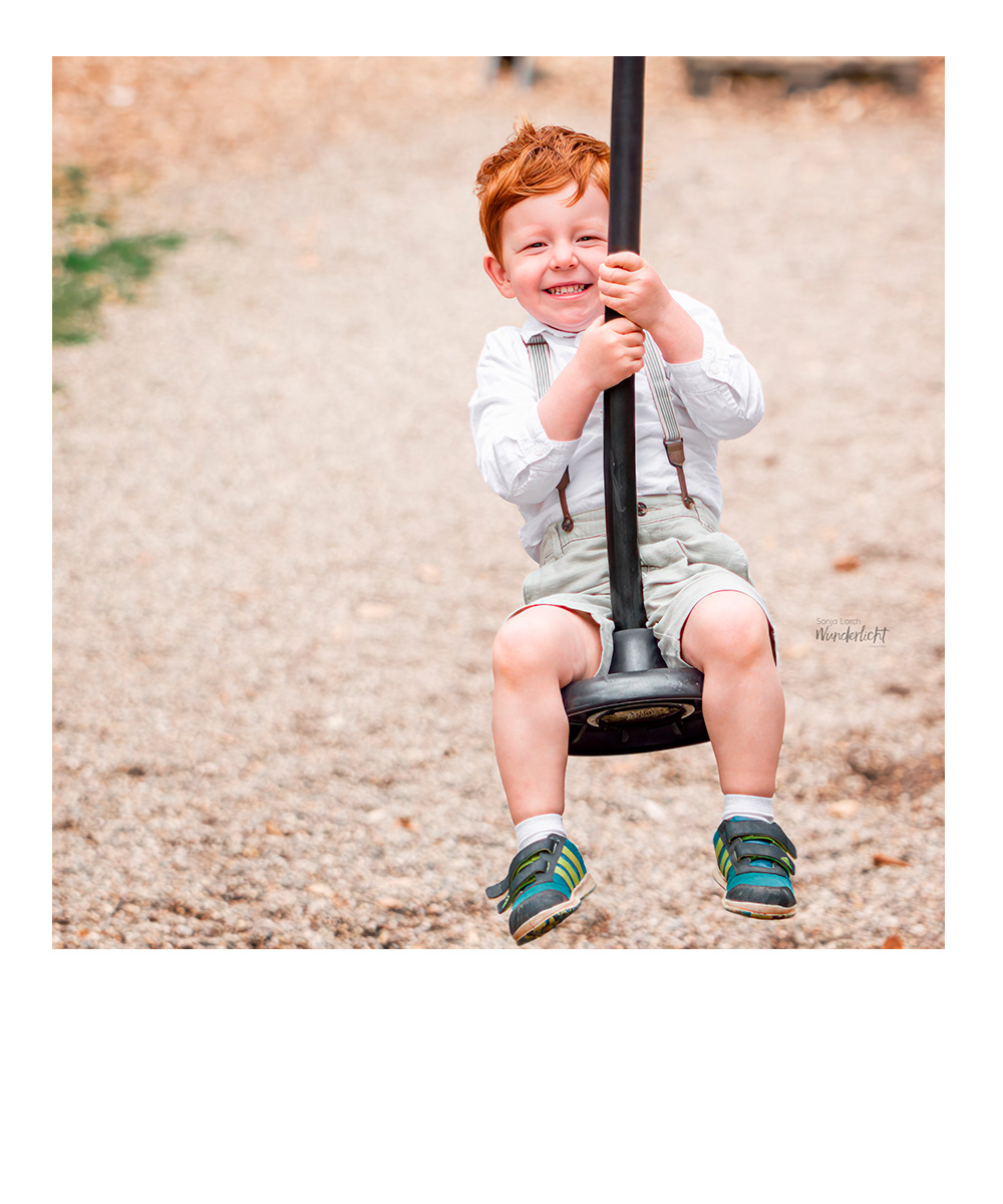 Porträt eines jungen Labradors