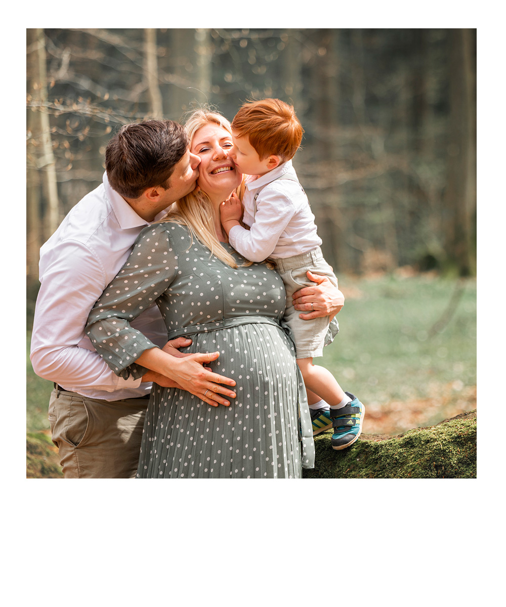 mittelgroßer rotbrauner Hund steht im herbstlichen Wald