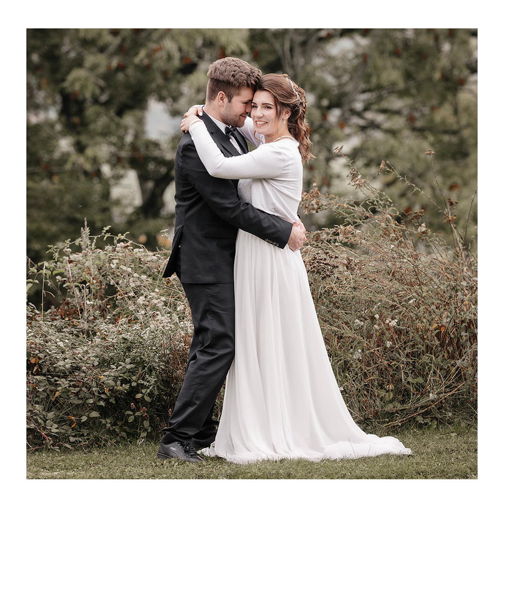 weihnachtliches Studiofoto eines Dackels mit Lichtern im Hintergrund