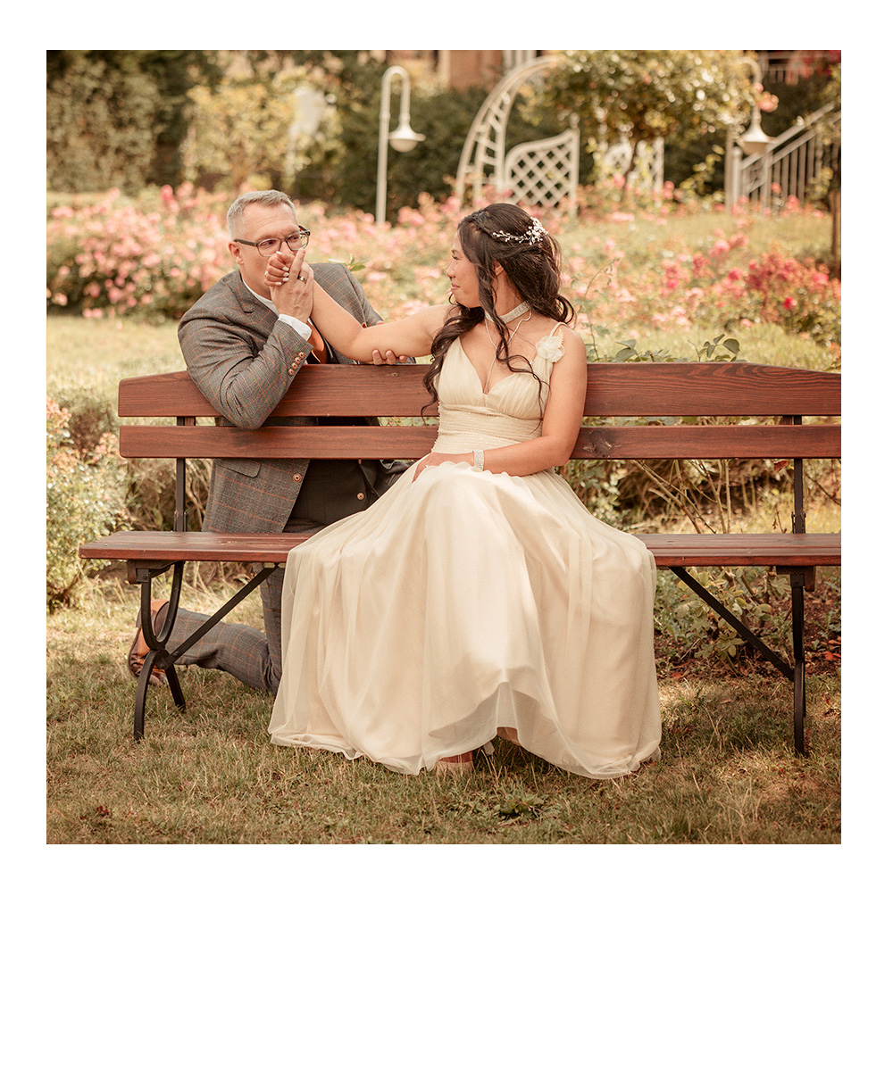 Porträt eines jungen Labradors