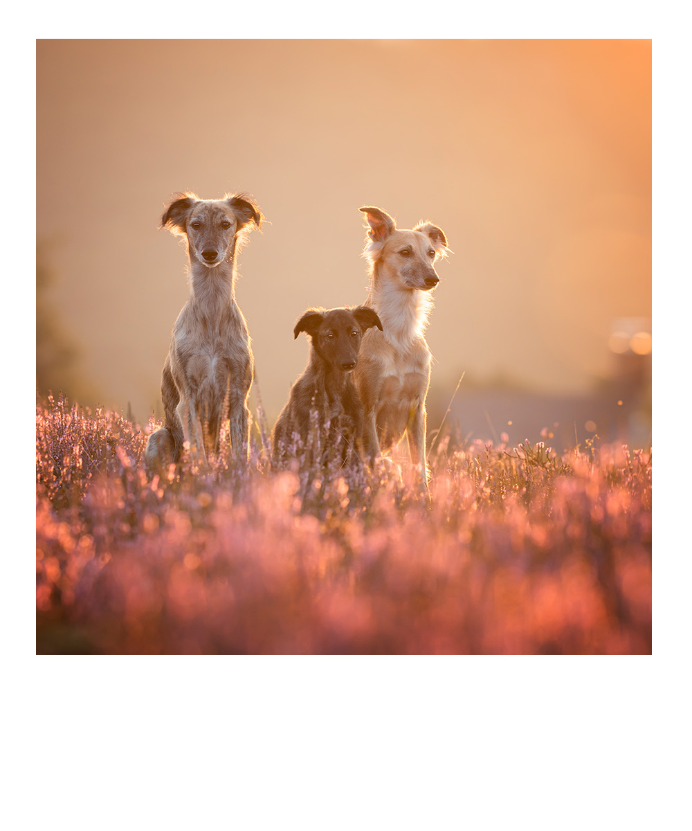 Schwarzweißbild, Frau leht an Wand, schaut auf ihren Babybauch