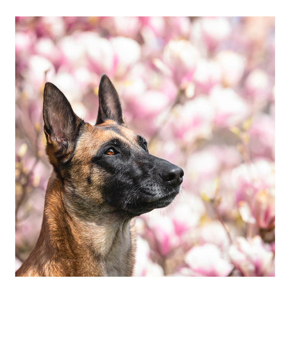 glückliches Brautpaar