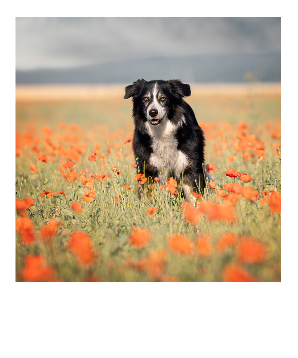 schlafendes Baby in weiß