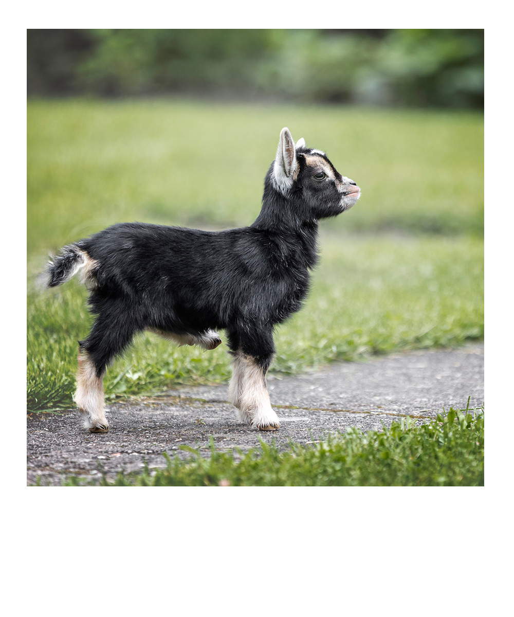 schlafendes Baby in weiß