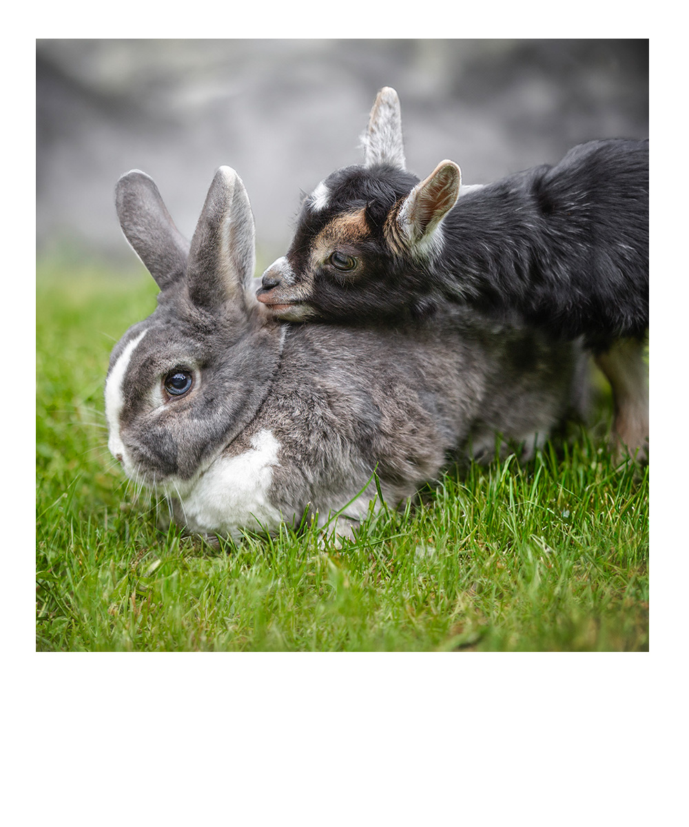 schlafendes Baby in weiß