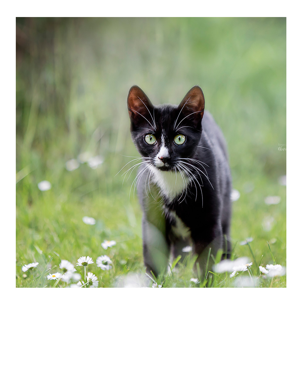 Schwarzweißbild, Frau leht an Wand, schaut auf ihren Babybauch